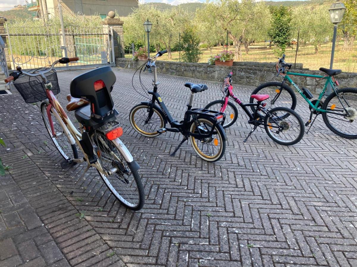 Pensjonat Le Coccole Del Trasimeno Tuoro sul Trasimeno Zewnętrze zdjęcie