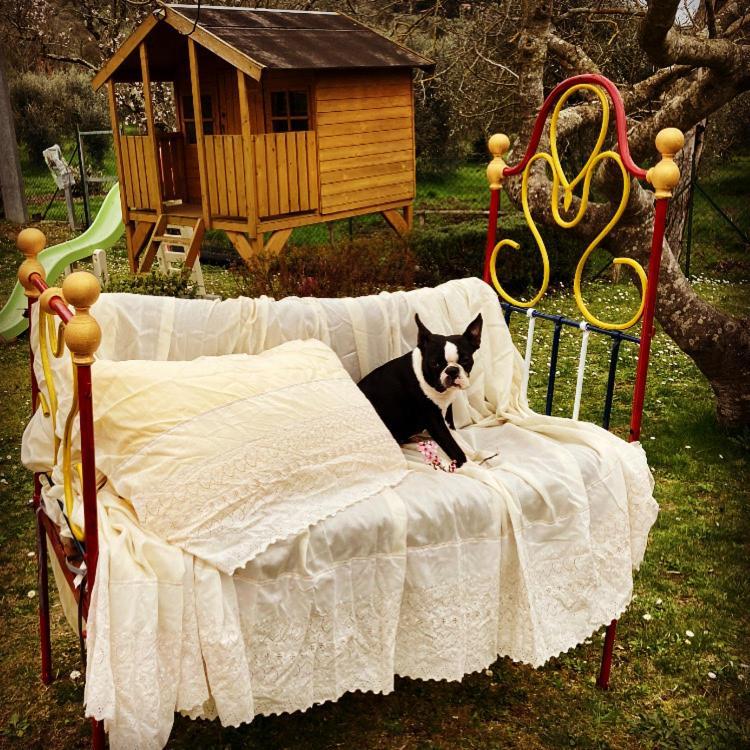 Pensjonat Le Coccole Del Trasimeno Tuoro sul Trasimeno Zewnętrze zdjęcie
