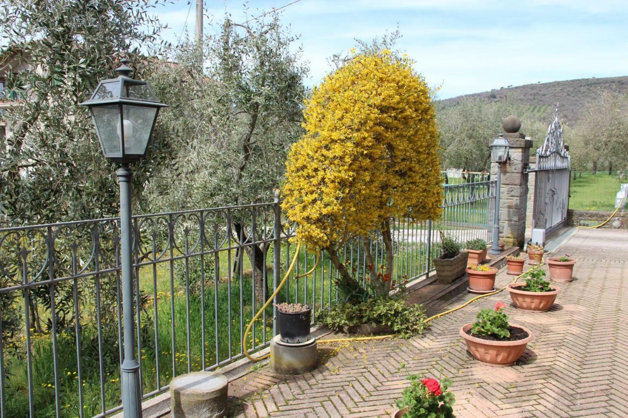 Pensjonat Le Coccole Del Trasimeno Tuoro sul Trasimeno Zewnętrze zdjęcie