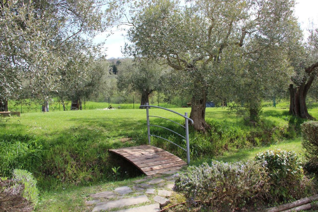 Pensjonat Le Coccole Del Trasimeno Tuoro sul Trasimeno Zewnętrze zdjęcie