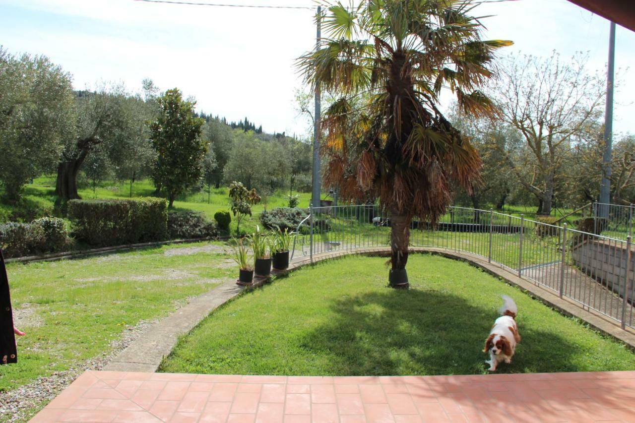 Pensjonat Le Coccole Del Trasimeno Tuoro sul Trasimeno Zewnętrze zdjęcie