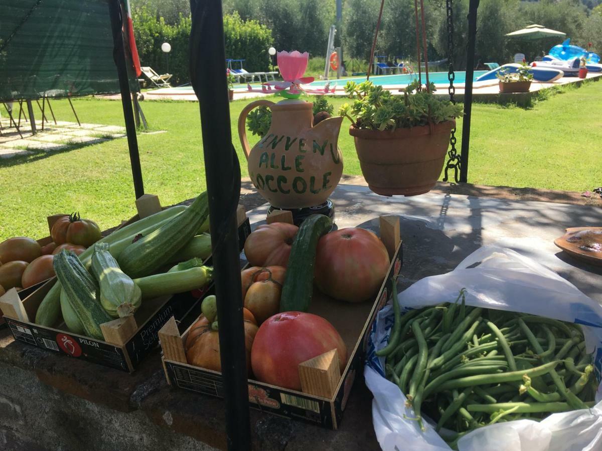 Pensjonat Le Coccole Del Trasimeno Tuoro sul Trasimeno Zewnętrze zdjęcie