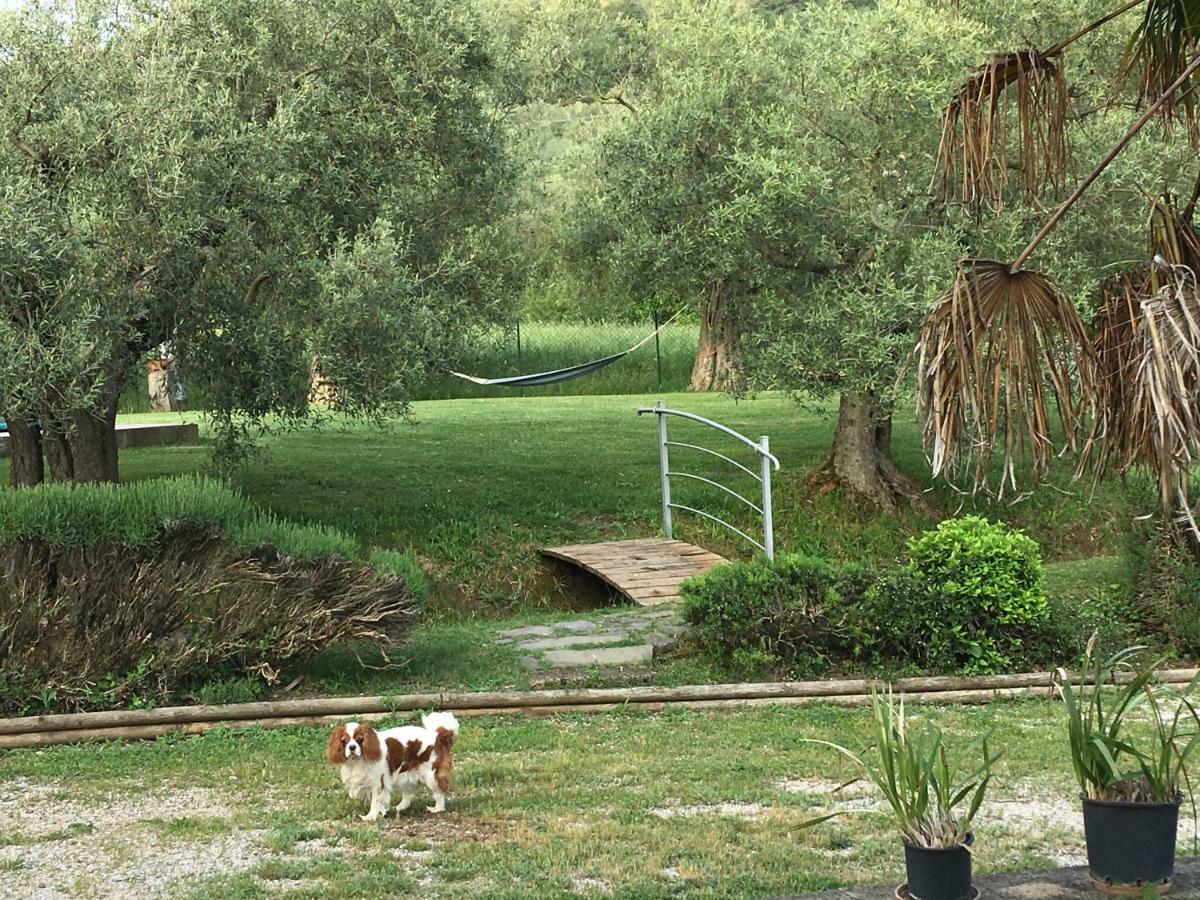 Pensjonat Le Coccole Del Trasimeno Tuoro sul Trasimeno Zewnętrze zdjęcie
