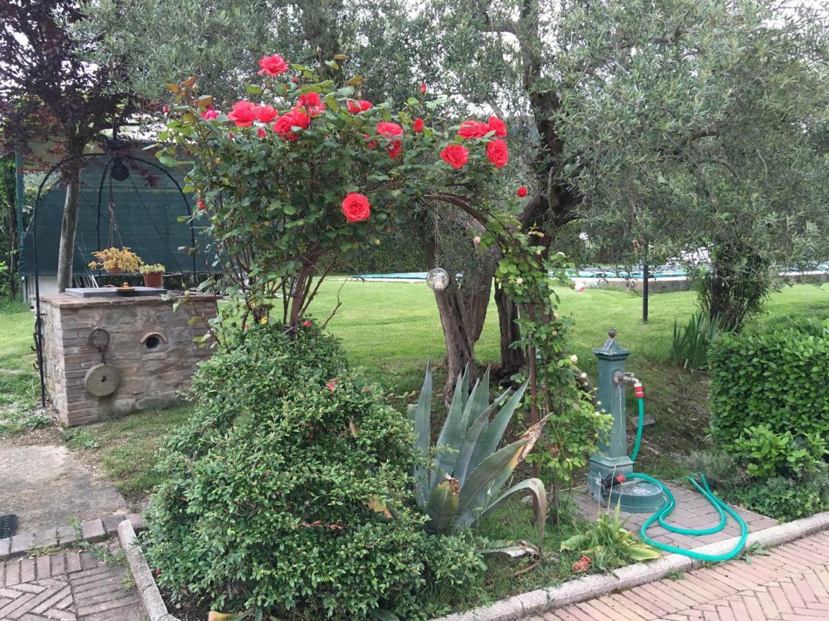 Pensjonat Le Coccole Del Trasimeno Tuoro sul Trasimeno Zewnętrze zdjęcie