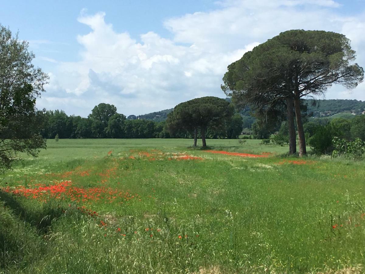 Pensjonat Le Coccole Del Trasimeno Tuoro sul Trasimeno Zewnętrze zdjęcie