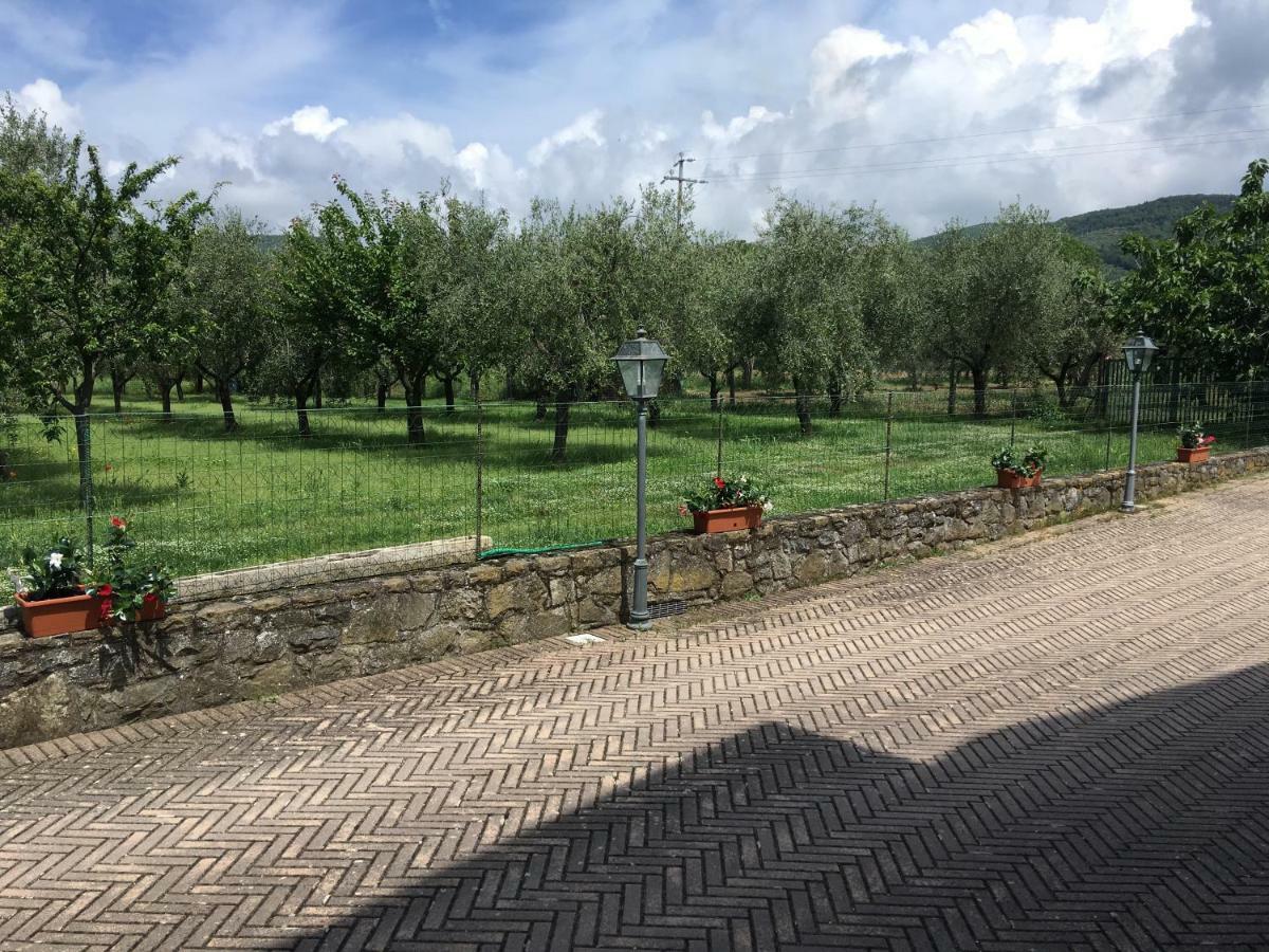 Pensjonat Le Coccole Del Trasimeno Tuoro sul Trasimeno Zewnętrze zdjęcie